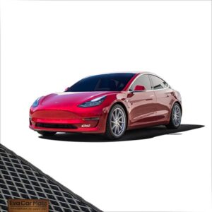 Tesla Model 3 (2017->)